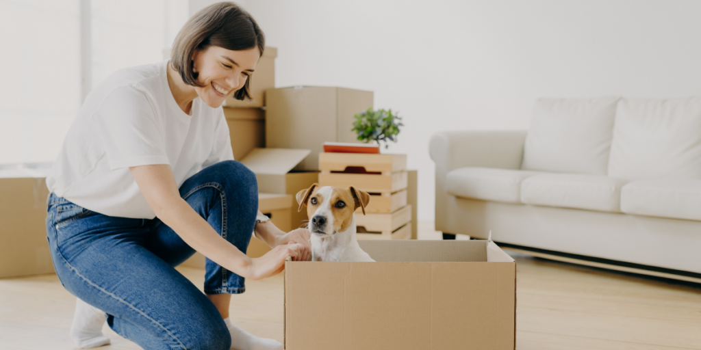 Pet Friendly Apartment Living | The Benefits and Hot Tips